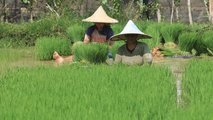 Pemerintah Dorong Berbagai Program Strategis untuk Mempercepat Kesejahteraan Rakyat